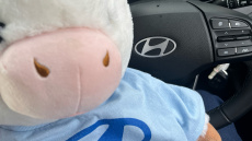 Hyundai i10 1.0 Advance 5dr Petrol Hatchback